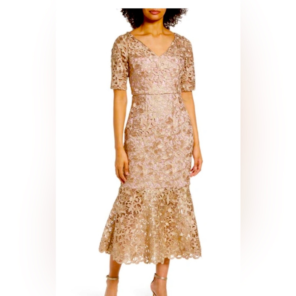 JS Collections V-Neck Short/ Scalloped Hem Lace